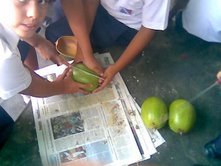 Alumnos trabajando la tapara para la elaboraciòn de artesanìas (U.E.P. Chiquinquirà)