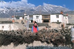 A FAMILY TRIP TO MUSTANG (and other stories).