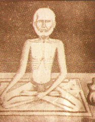 Swami Virjanand ji
