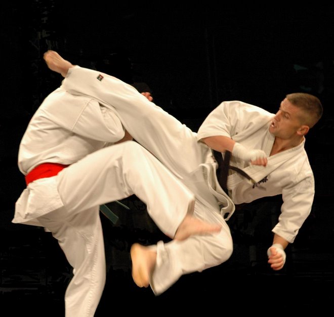 USHIRO MAWASHI TOBI GERI