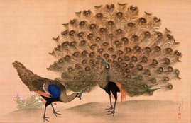 Paon et paonne, très belle peinture sur soie de Maruyama Ōkyo