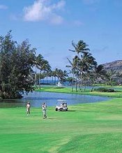 Hawaii Golf Resort