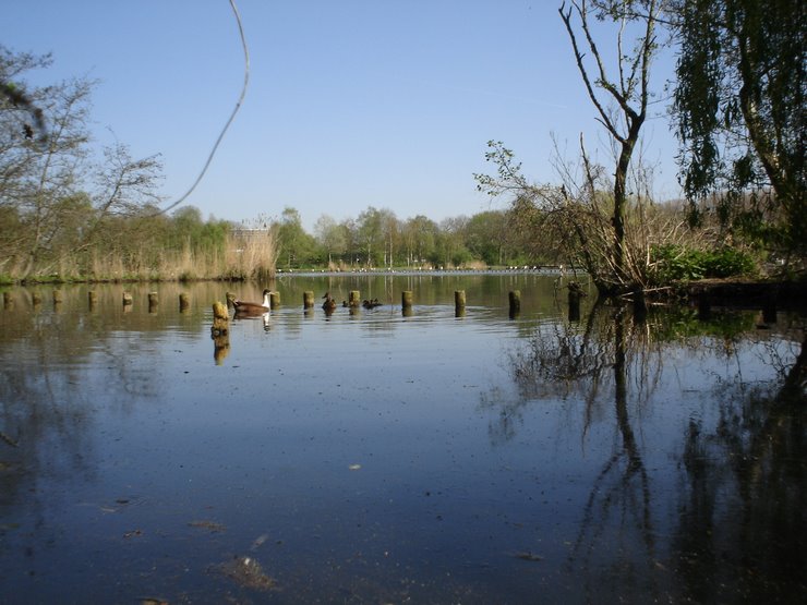 LIEFDE VOOR WATER