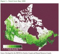 Canada's remaining forested areas
