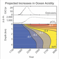 Projected increase in ocean acidity