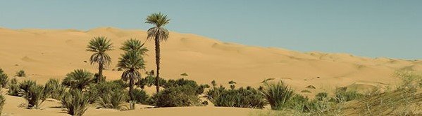-Lo que más embellece al desierto es el pozo que oculta en algún sitio...