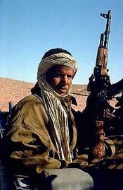 Un guerrillero del Frente Polisario...