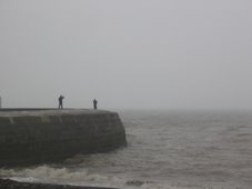 The Cobb