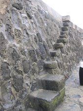 The Cobb