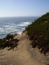 Ft. Funston