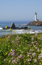 Pigeon Pt. lighthouse