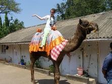 sometimes i ride camels.