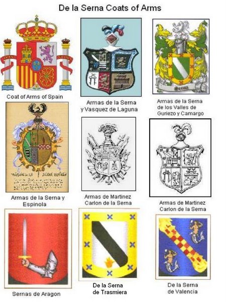Some Serna Coat of Arms from Spain