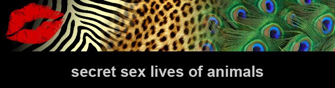 Secret Sex Lives of Animals