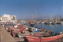 Barcos tradicionales y veleros en La dársena