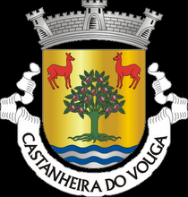 J.F. Castanheira do Vouga