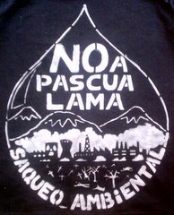 http://www.noapascualama.org/