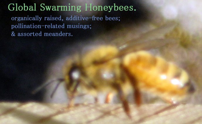 Global Swarming Honeybees