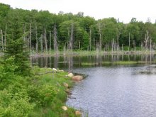 Wilderness &amp; Waterslides: How to Define Big---Adirondack ...