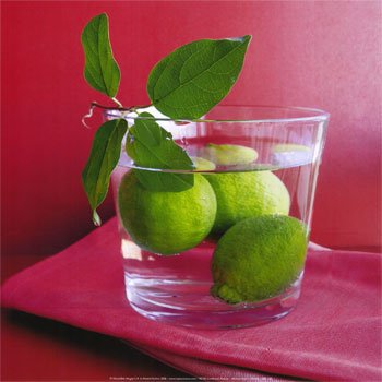 Citrons verts (Amelie Vuillon)