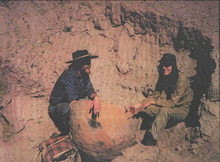 Angastaco (1976) prov. de Salta - haciendo un reconocimiento de la zona arqueológica
