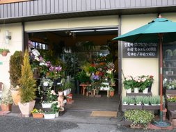 masukawa flower shop