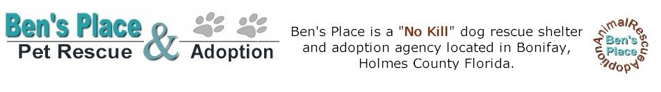 Ben's Place: Dog rescue and adoption shelter.