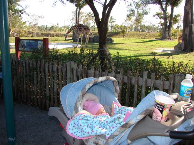 First Trip to the Zoo!
