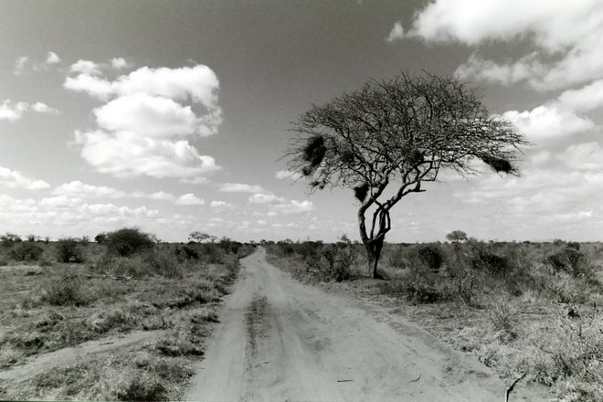 KENIA 2001