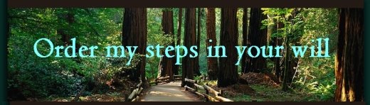 Order my steps in your will