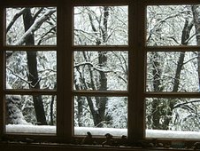 Invierno desde las ventanas del Biota