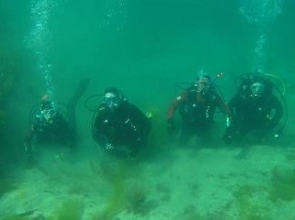 John Ryan & Co. at Zetland Pier Dive Site