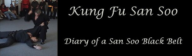 Kung Fu San Soo - Diary of a San Soo Black Belt