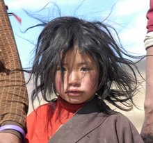 Young Tibetan nomad