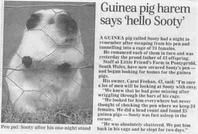 Sooty article. 