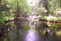 Spruce Run Creek