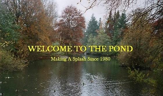 Welcome to the pond