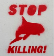 Stop Whaling!!!
