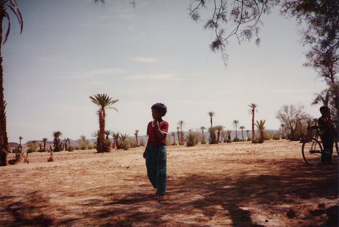 El Shajel o comienzo del Sahara es una rara mezcla de arena, piedras y vida en todos los sentidos.
