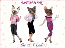 We our members of the Pink Ladys