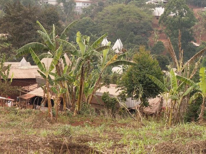 Les villages typiques