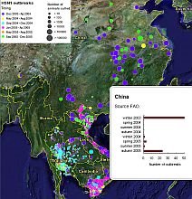 Avian Flu outbreak map