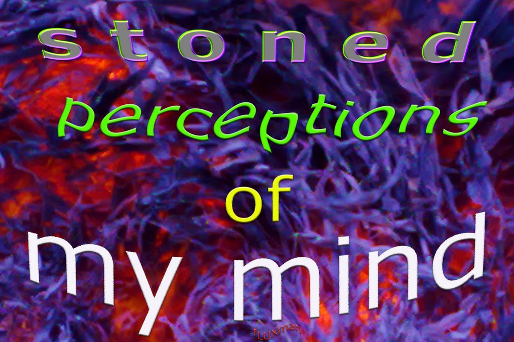stoned perceptions of my mind