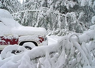 snow storm, Nov. 2006, photo by Robin Atkins