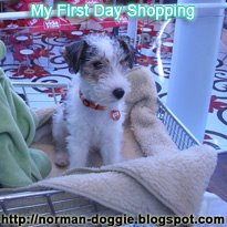 My First Day Shopping