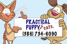 Dog and Cat Grooming DeLand
